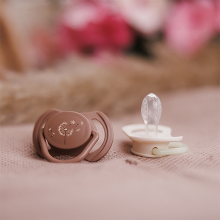BabyOno Take Care Symmetrical Silicone Soothers duda