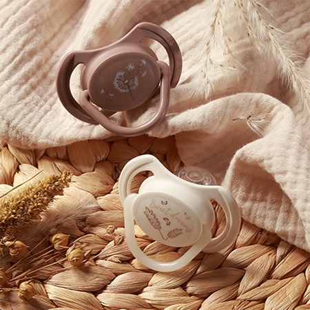 BabyOno Take Care Symmetrical Silicone Soothers duda