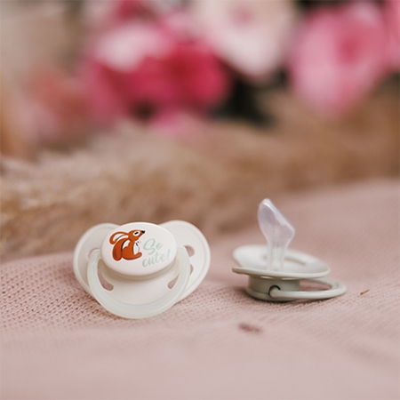 BabyOno Take Care Anatomical Silicone Soothers tétine