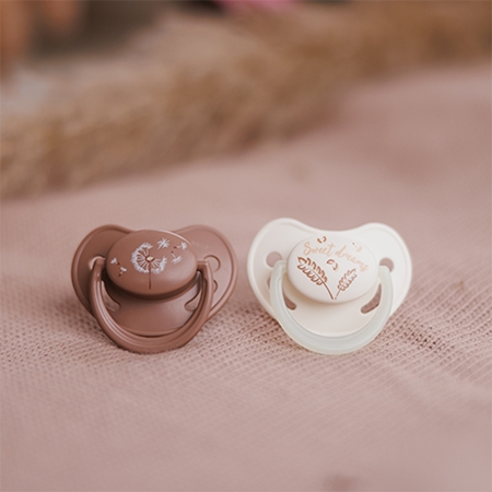 BabyOno Take Care Anatomical Silicone Soothers tétine