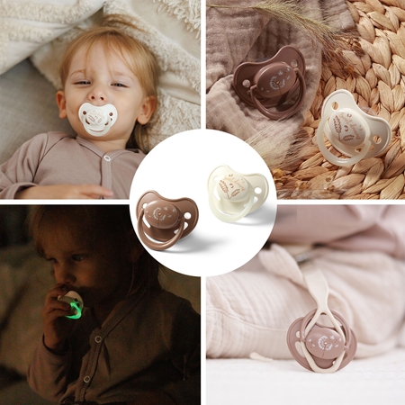 BabyOno Take Care Anatomical Silicone Soothers tétine