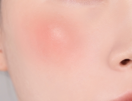 Banila Co. Romantic Blush produit multifonctionnel lèvres et visage pour un look parfait