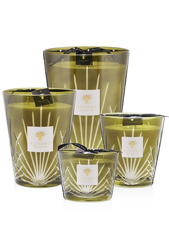 Baobab Collection Palm Palm Springs bougie parfumée