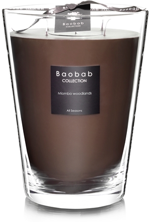 Baobab Collection Miombo Woodlands Duftkerze