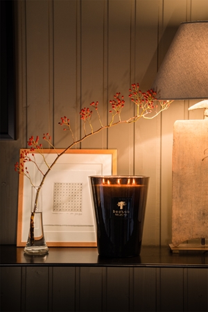 Baobab Collection Les Prestigieuses Encre de Chine kvapioji žvakė