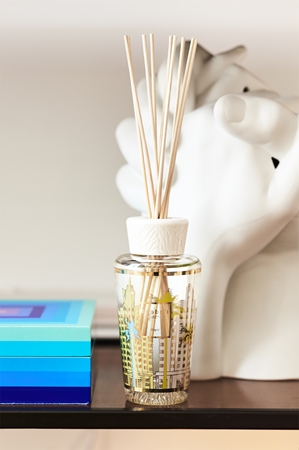 Baobab Collection My First Baobab Miami aroma diffuser with filling