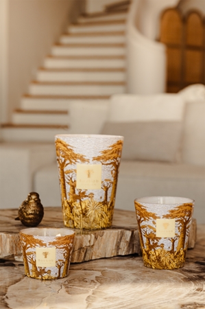 Baobab Collection Sacred Trees Cocody tuoksukynttilä