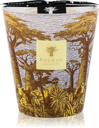 Baobab Collection Sacred Trees Cocody vonná svíčka