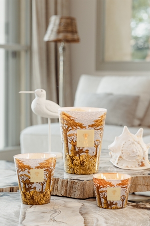 Baobab Collection Sacred Trees Cocody vonná svíčka