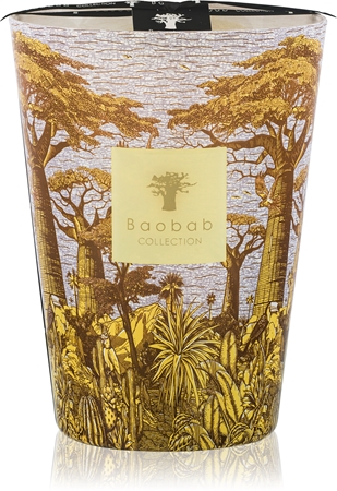 Baobab Collection Sacred Trees Cocody vonná svíčka