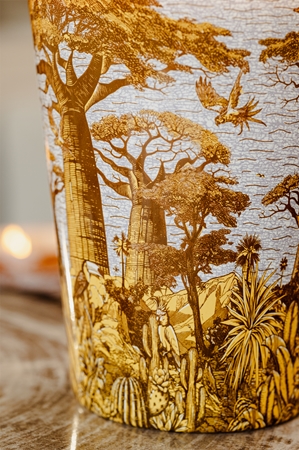 Baobab Collection Sacred Trees Cocody vonná svíčka