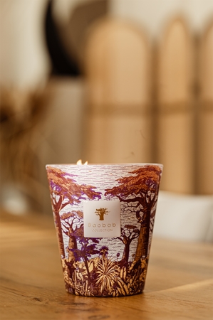 Baobab Collection Sacred Trees Massasso bougie parfumée