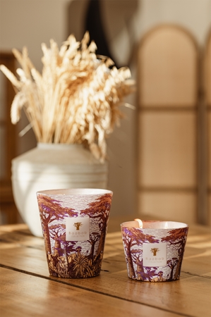 Baobab Collection Sacred Trees Massasso bougie parfumée