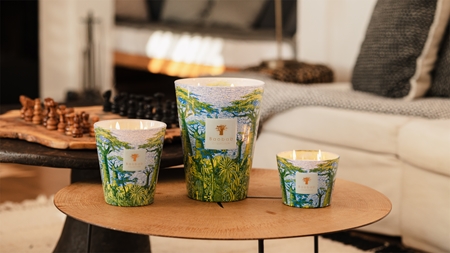 Baobab Collection Sacred Trees Yarani candela profumata