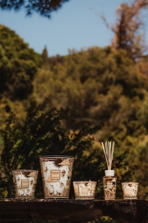 Baobab Collection Tomorrowland Gift Set