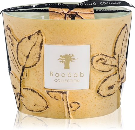 Baobab Collection Folia Garrigue Duftkerze