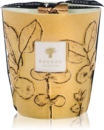 Baobab Collection Folia Garrigue vonná svíčka