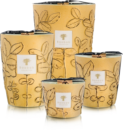 Baobab Collection Folia Garrigue vonná svíčka