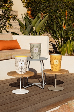 Baobab Collection Folia Garrigue vonná svíčka