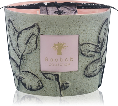 Baobab Collection Folia Maquis Duftkerze