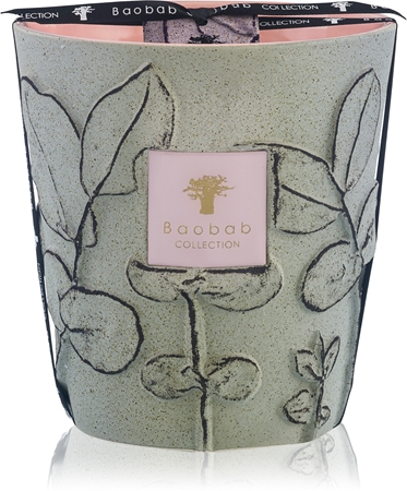 Baobab Collection Folia Maquis vonná svíčka