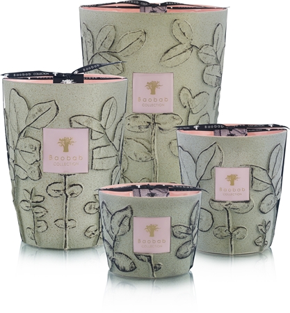 Baobab Collection Folia Maquis vonná svíčka