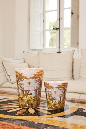 Baobab Collection Sacred Trees Bounkani Duftkerze