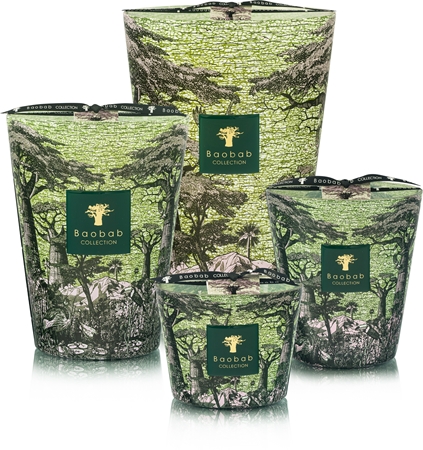 Baobab Collection Sacred Trees Touba scented candle