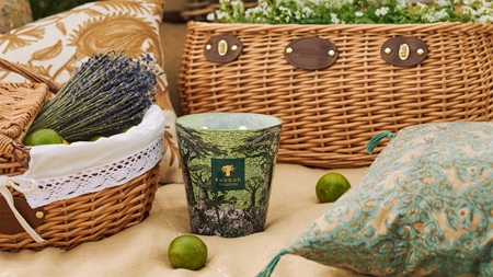 Baobab Collection Sacred Trees Touba scented candle