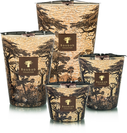 Baobab Collection Sacred Trees Mankono Duftkerze