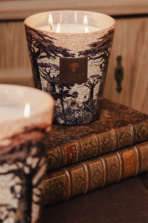Baobab Collection Sacred Trees Mankono Duftkerze