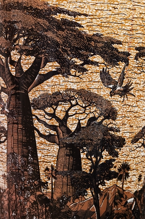 Baobab Collection Sacred Trees Mankono Duftkerze