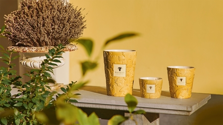 Baobab Collection Paz Dove lõhnaküünal