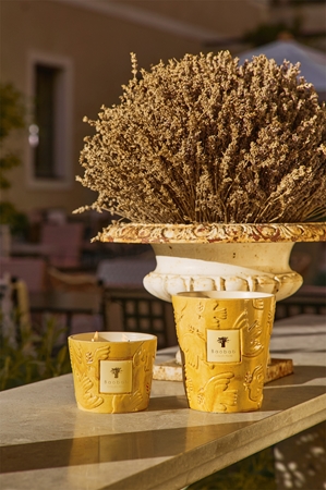 Baobab Collection Paz Dove geurkaars