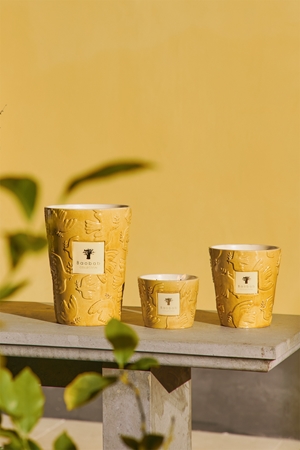 Baobab Collection Paz Dove geurkaars