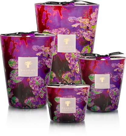 Baobab Collection Arty Flowers Water Lily scented candle