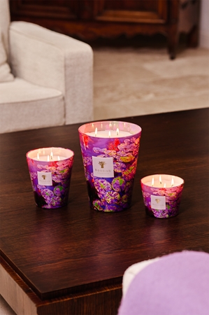 Baobab Collection Arty Flowers Water Lily scented candle