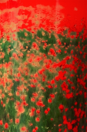Baobab Collection Arty Flowers Poppies Duftkerze