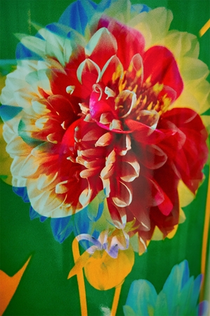 Baobab Collection Arty Flowers Bouquet doftljus