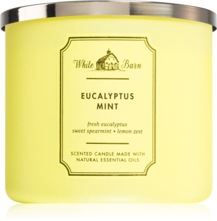 Bath and body on sale works eucalyptus mint