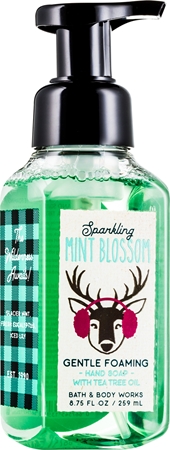 Bath & Body Works Sparkling Mint Blossom Foaming Hand Soap