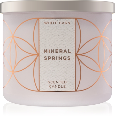 Bath & Body Works Mineral Springs scented candle