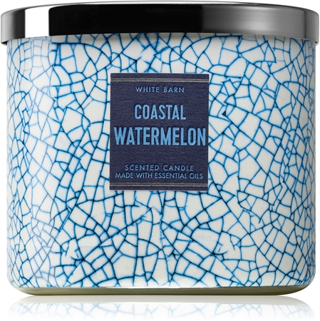 Bath & Body Works Coastal Watermelon Duftkerze