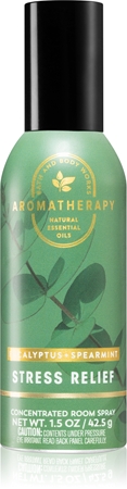 Bath & Body Works Eucalyptus Spearmint sprej za dom I.