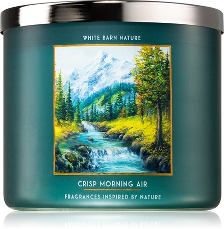 Bath & Body Works Crisp Morning Air candela profumata