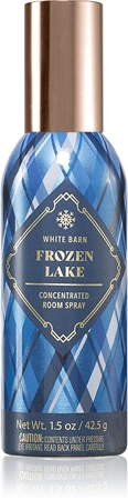 Bath & Body Works Frozen Lake profumo per ambienti