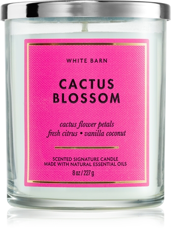 Bath & Body Works Cactus Blossom tuoksukynttilä