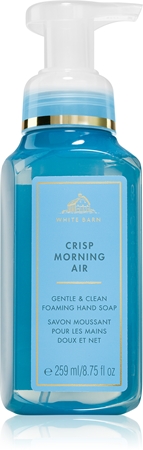 Bath & Body Works Crisp Morning Air Hand Soap