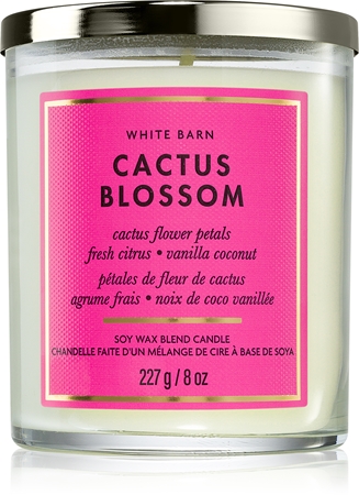Bath & Body Works Cactus Blossom dišeča sveča
