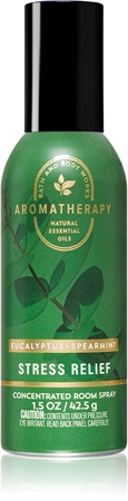 Bath & Body Works Eucalyptus room spray